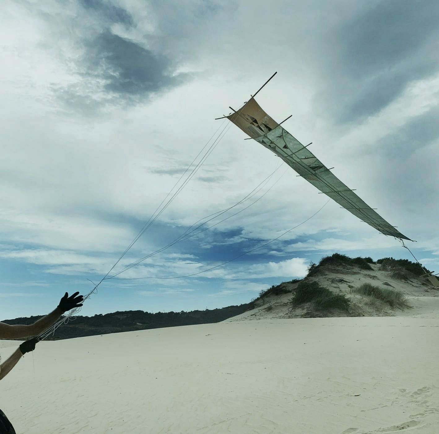 Invierno III — 2024 — Dunas de Macacú Foto: Katy Pinheiro — Fabio Crisanti